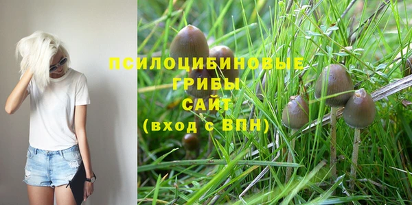 соль ск Бронницы