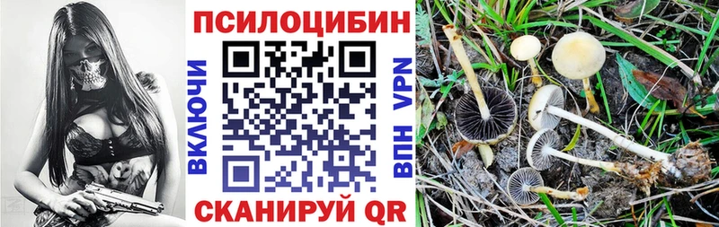 наркота  Видное  Псилоцибиновые грибы Magic Shrooms 